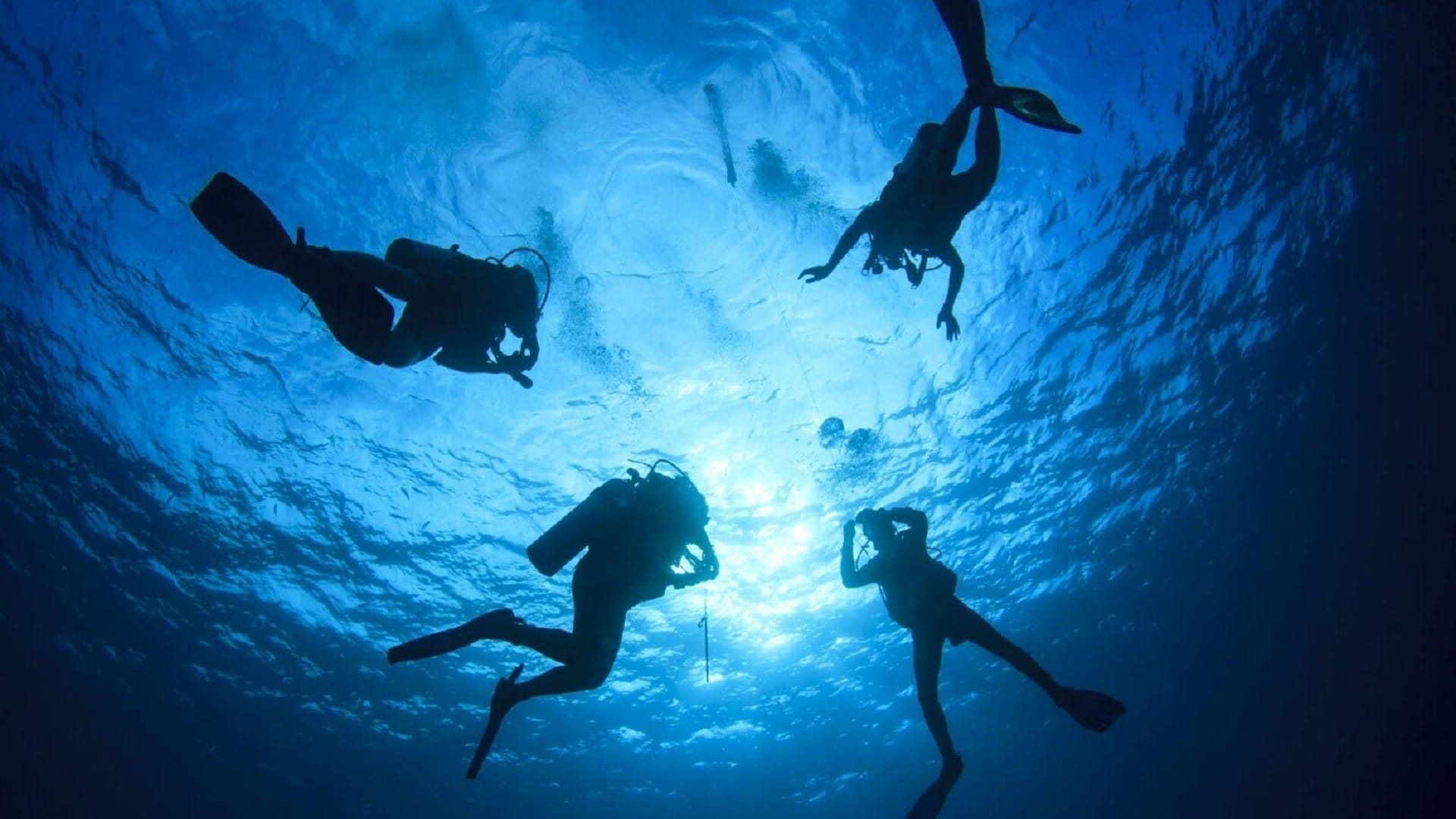 Outdoor Experiences
