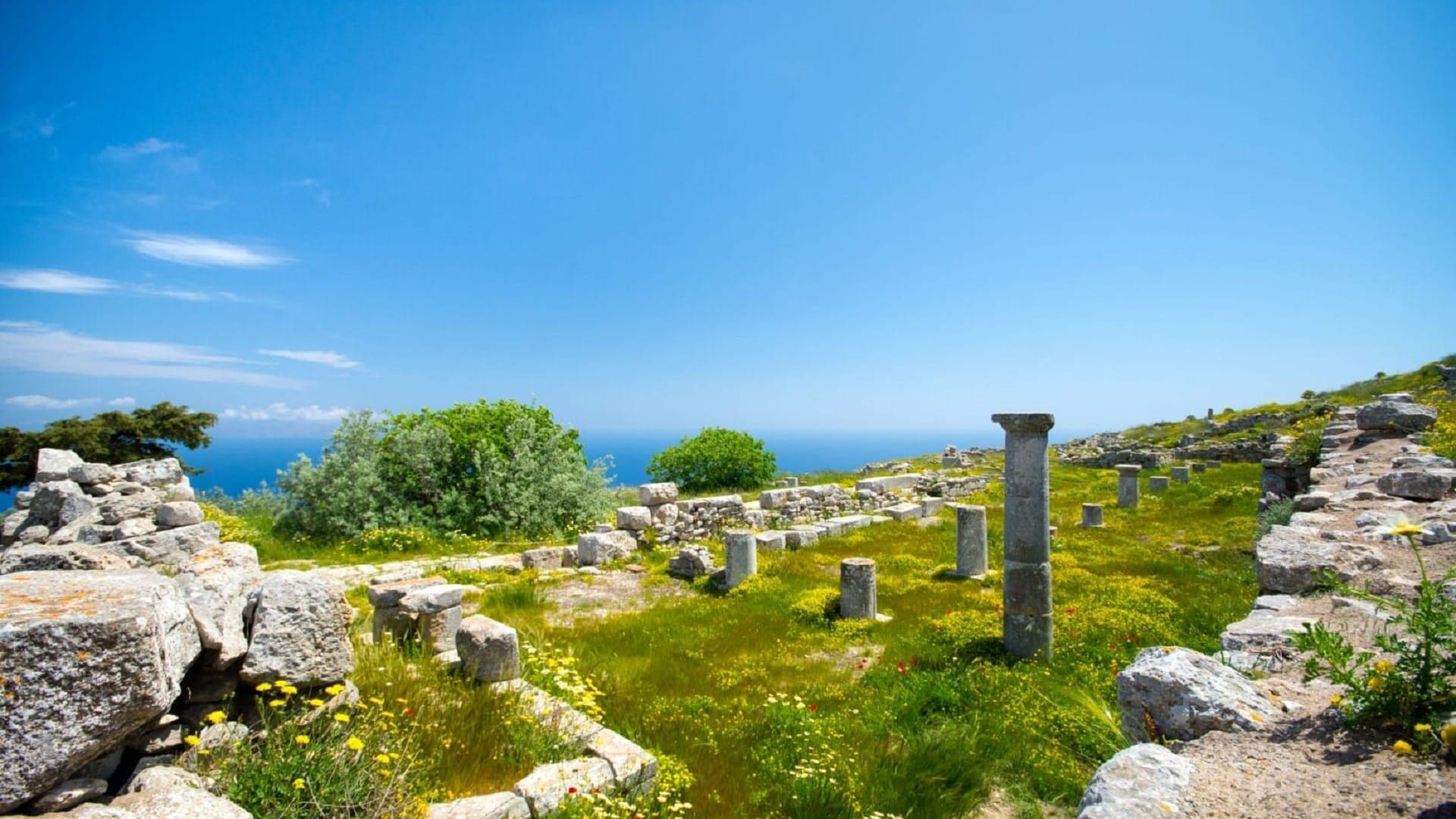 The history