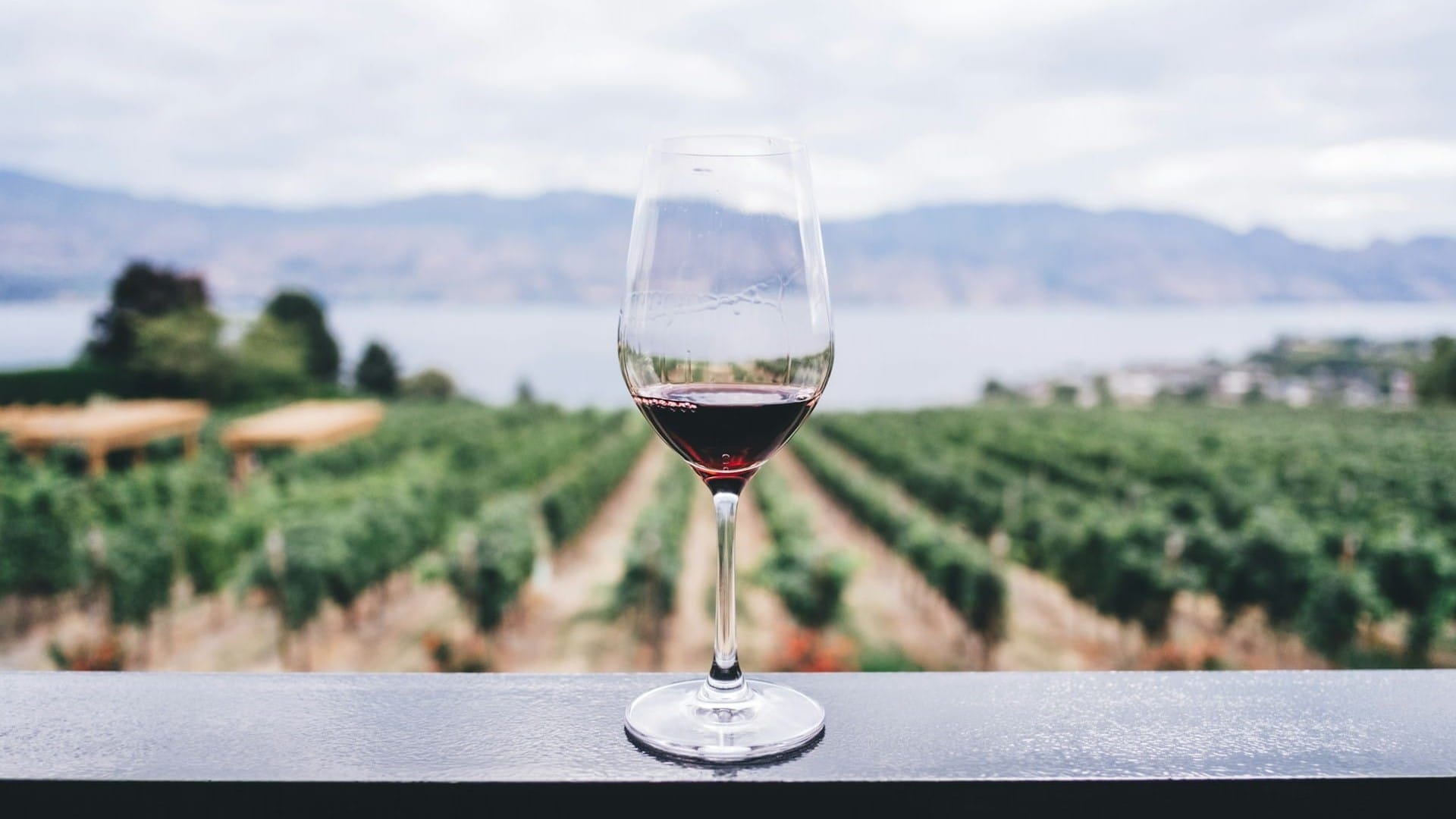 Assyrtiko & Golden Hour: Santorini's Wine Legacy