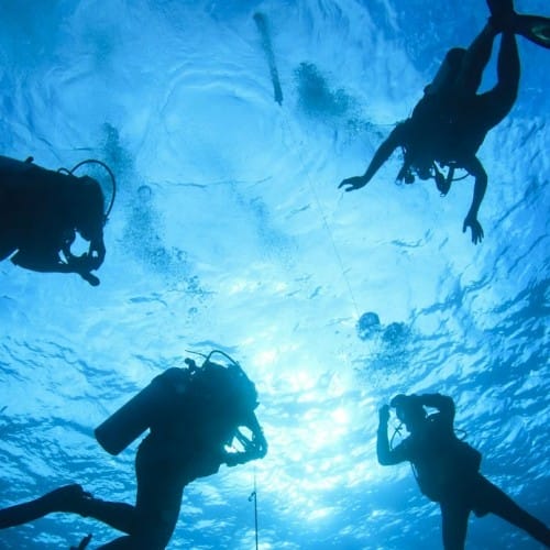 Diving