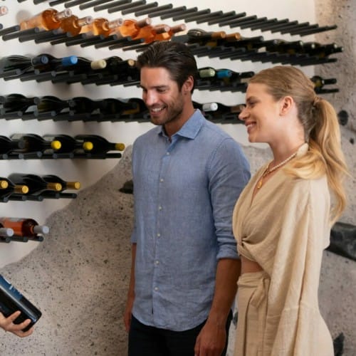 The Wine Experience