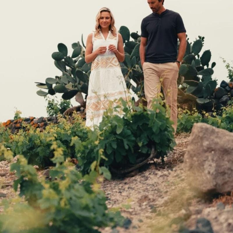 Santorini wines Gallery
