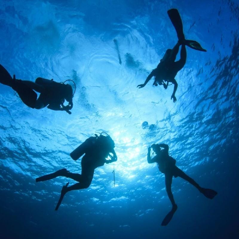 Diving Gallery