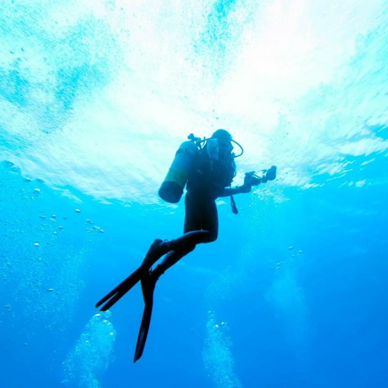 Diving Gallery