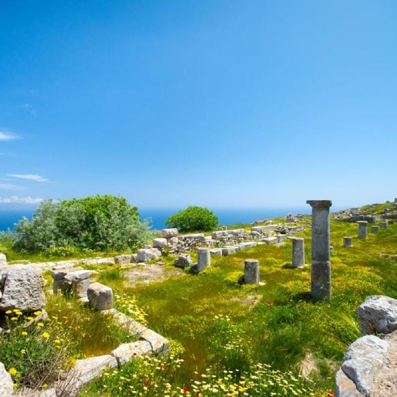 Archeology Tour Gallery