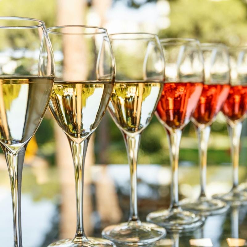 Wineries Tour Gallery