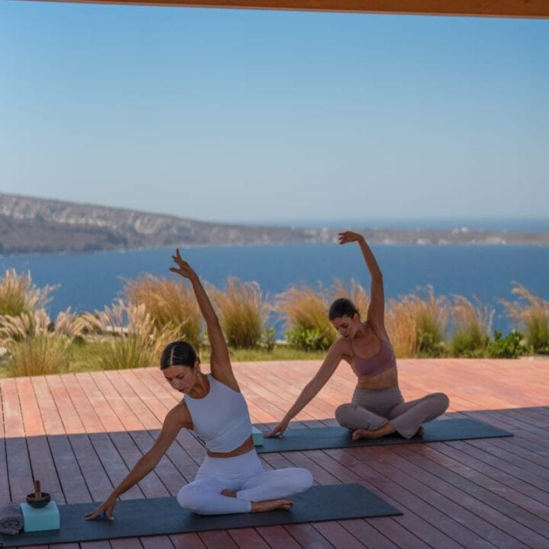 OIA Gallery