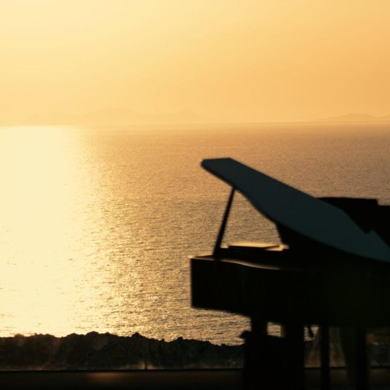 Sunset Music Nights Gallery